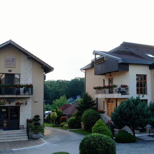 Pensiunea Diana Băile Felix