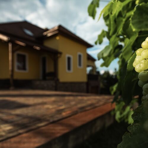 Fecskefészek Vendégház Egerszalók