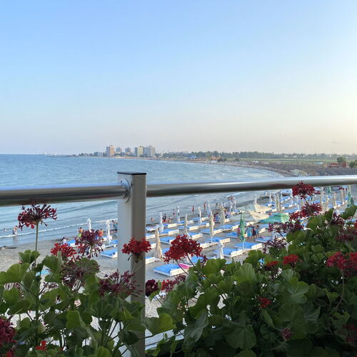 Palace Beach Resort Venus