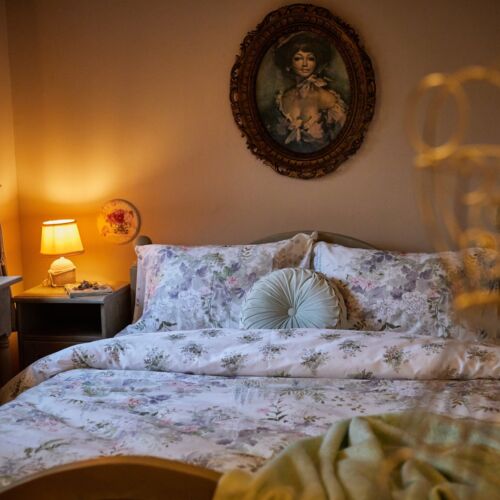 Pensiunea Vlahia Inn Moieciu de Sus