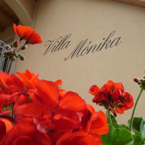 Villa Mónika Keszthely  2