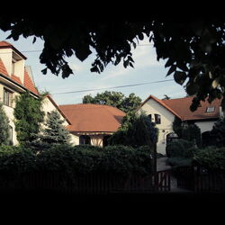 The Zen Hostel - Posticum Oradea