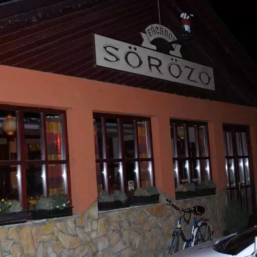 Fácános Apartman Fonyód 027 kép