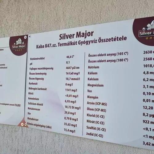 Silver Major Hajdúszoboszló 013 kép