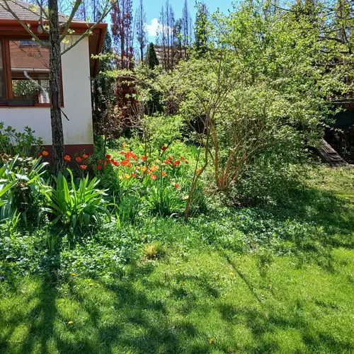 A Levendulás Apartman Noszvaj 031 kép