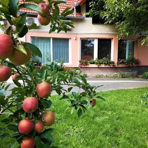 Szita Apartman Badacsonytomaj  3