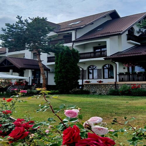 Pensiunea Elegance Gura Humorului