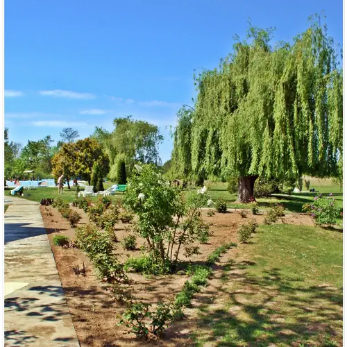 Korona Panzió Csokonyavisonta 037 kép