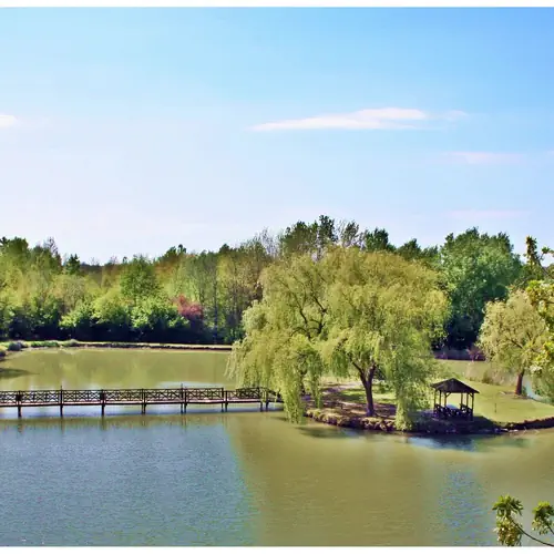 Korona Panzió Csokonyavisonta 040 kép