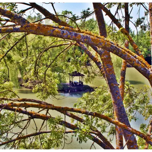 Korona Panzió Csokonyavisonta 042 kép