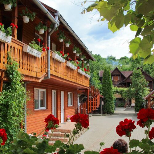 Pensiunea Patakparti