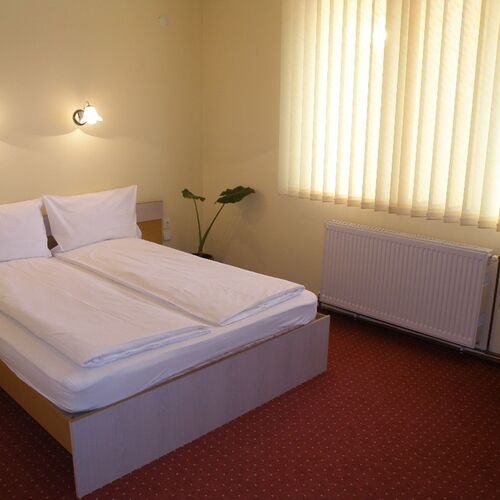 Pensiunea Beverly Hills Băile Felix