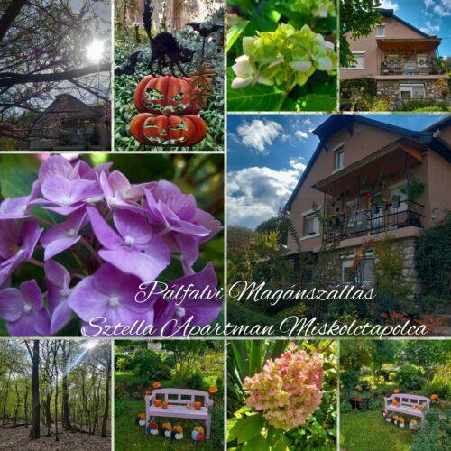 Pálfalvi MSz  Sztella Apartman Miskolctapolca