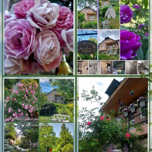 Pálfalvi MSz  Sztella Apartman Miskolctapolca