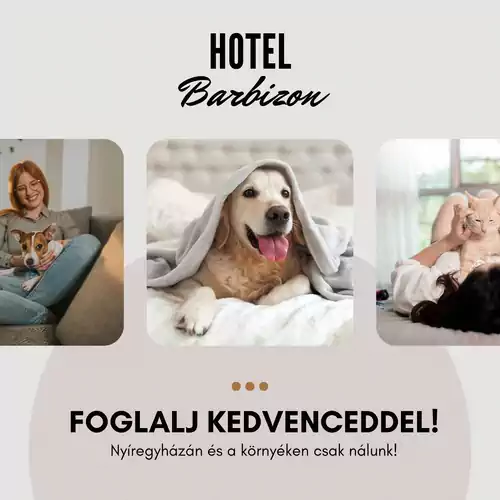 Hotel Barbizon Nyíregyháza 033 kép