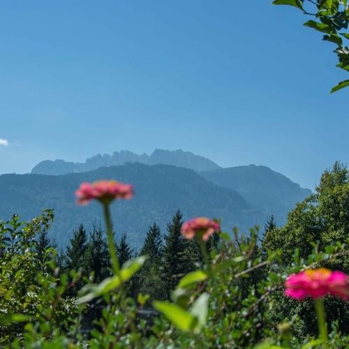 Aussicht vom Waldhof
