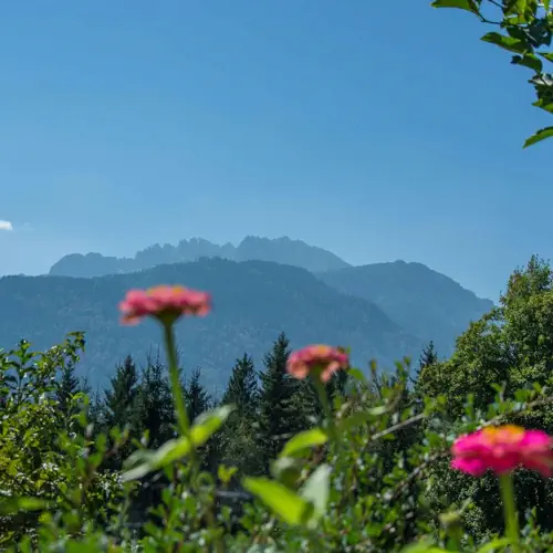 Aussicht vom Waldhof 