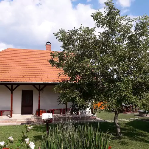 Mátyás Madár Vendégház Tard 015 kép