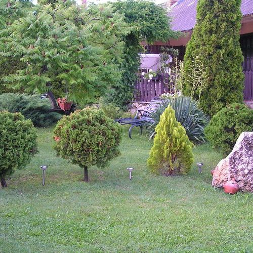 Örökzöld Apartmanok Balatonfenyves  2