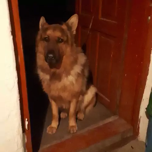 Geszti Vendégház Kunhegye 020 kép