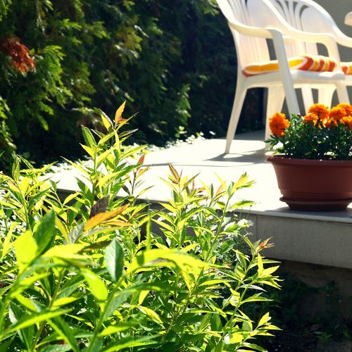 Arizona Apartman Siófok  3