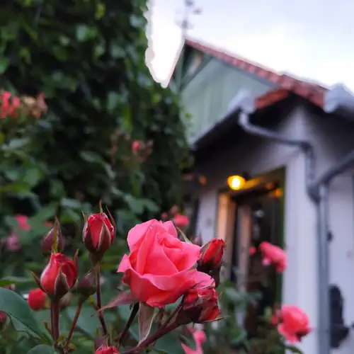 Frankó Tanya Vendégház Szarva 009 kép