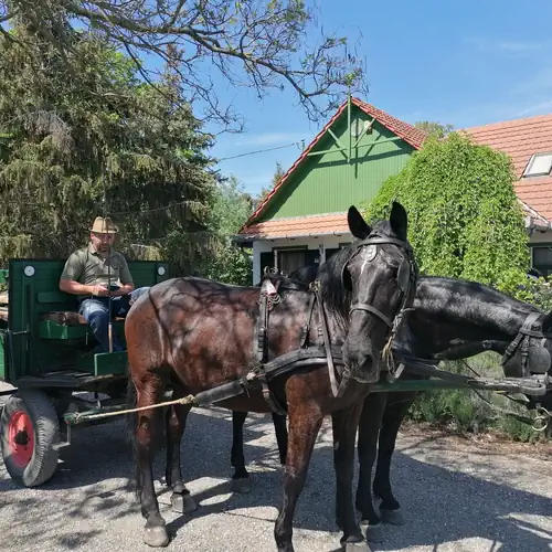 Frankó Tanya Vendégház Szarva 026 kép