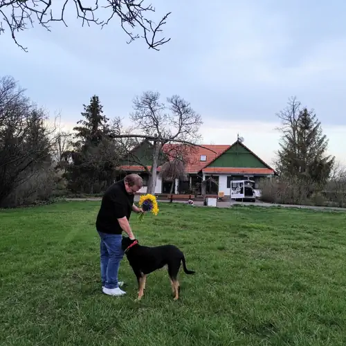Frankó Tanya Vendégház Szarva 006 kép