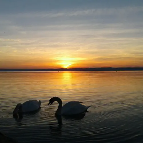 Balaton Wellness Apartman Siófok 069 kép