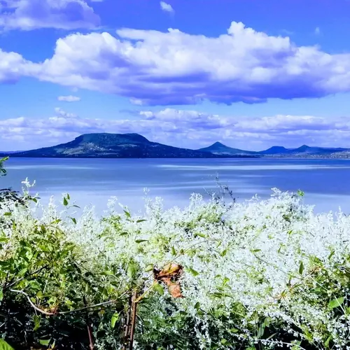 Balaton Wellness Apartman Siófok 072 kép