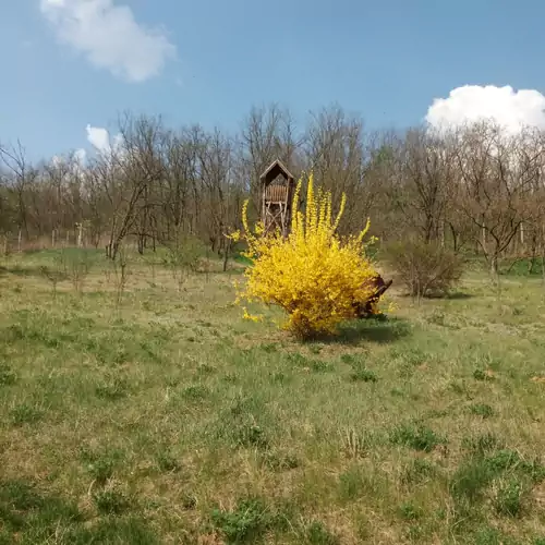 Jókai Vendégház Nógrádmegyer 019 kép