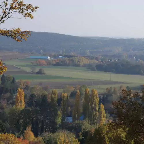 Vadszőlő Vendégház Cák 023 kép