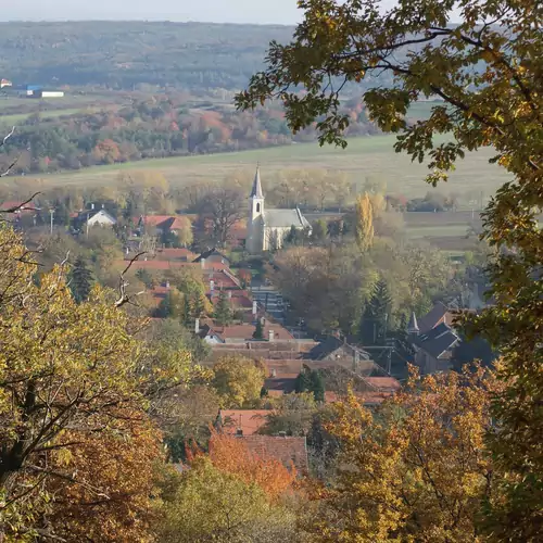 Vadszőlő Vendégház Cák 027 kép