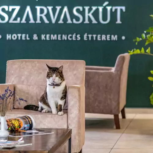 Szarvaskút Wellness Hotel és Kemencés Étterem Zirc 087 kép