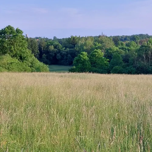 R&eacute;t a h&aacute;z alatt