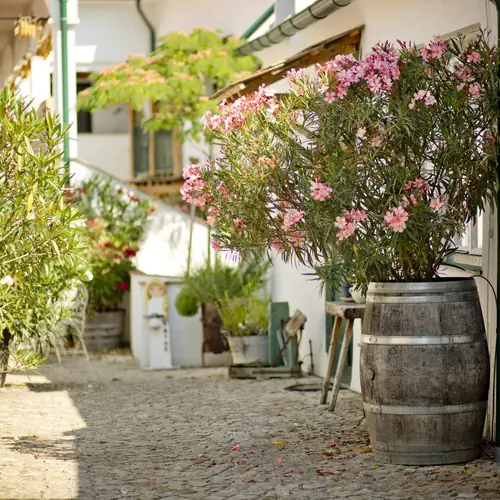 Foto &uuml;ber den Innenhof