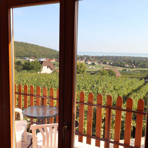 Lekics Pince és Vendégház Balatongyörök  3