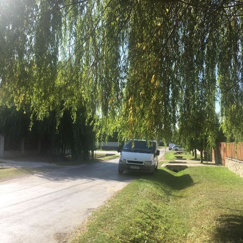 Füzesi Vendégház Veszprém  3