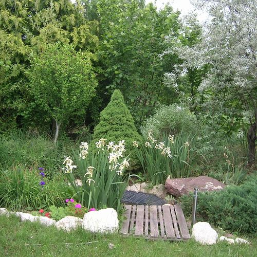 Csalintos Apartman Balatonalmádi  4