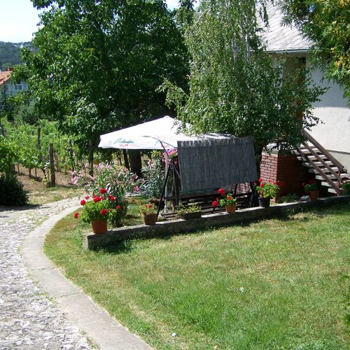Szőlő Vendégház Balatongyörök  4