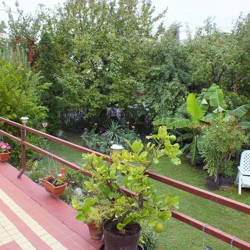 Tóth Apartman Balatonfenyves  3