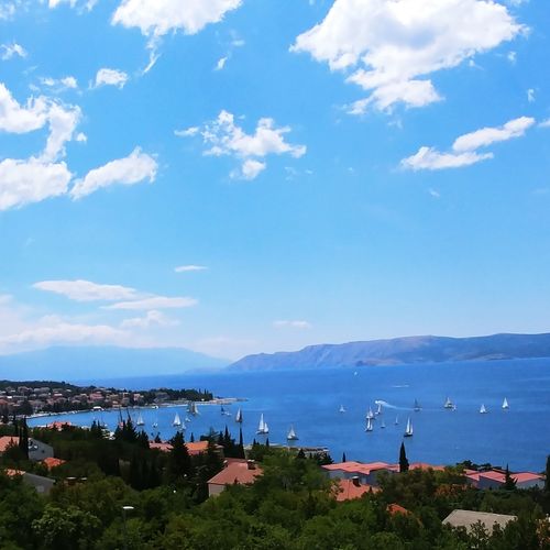 Apartmani 3 Palme Crikvenica  4