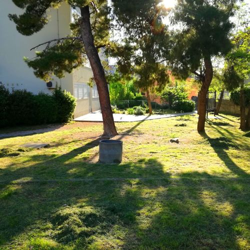 Garden in front of building