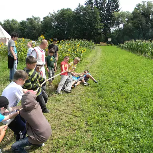 Öreg Fenyő Vendégház Gencsapáti 017 kép