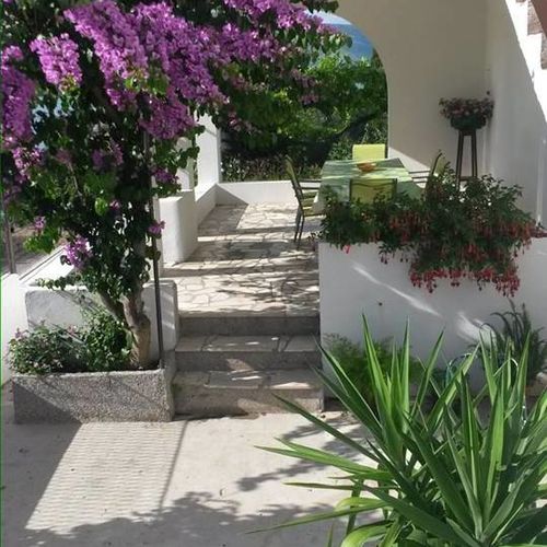 Apartman Ivica Arbanija  3