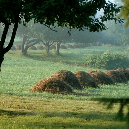Fot&oacute; a kertről