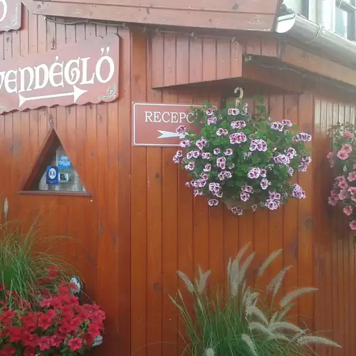 Kisdiófa Panzió és Vendéglő Vajdácska 023 kép
