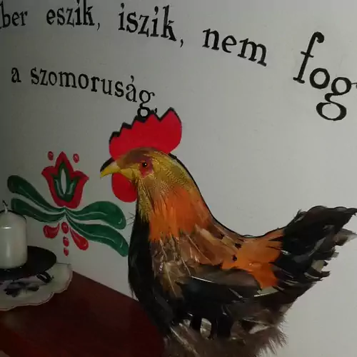 Kisdiófa Panzió és Vendéglő Vajdácska 021 kép