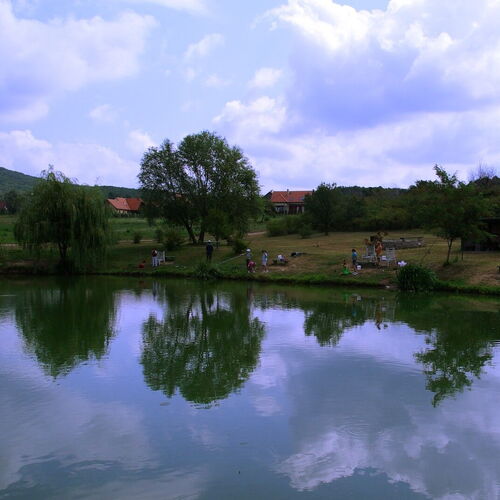 Horgásztó