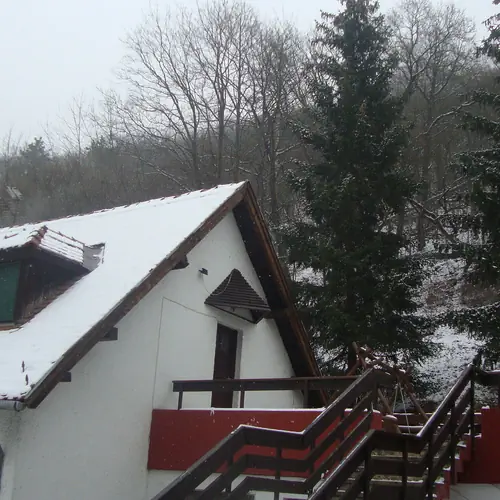Ez&uuml;stfenyő Vend&eacute;gh&aacute;z